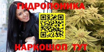 соль курить ск Шелехов