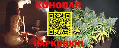 дмт Шебекино