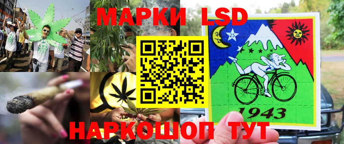 Мирный  Наркотические марки  Вход с VPN  Наркотические марки 1500мкг 