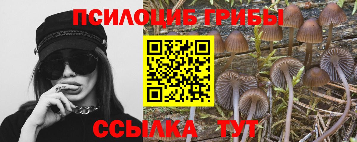 Галлюциногенные грибы Psilocybine cubensis Мирный