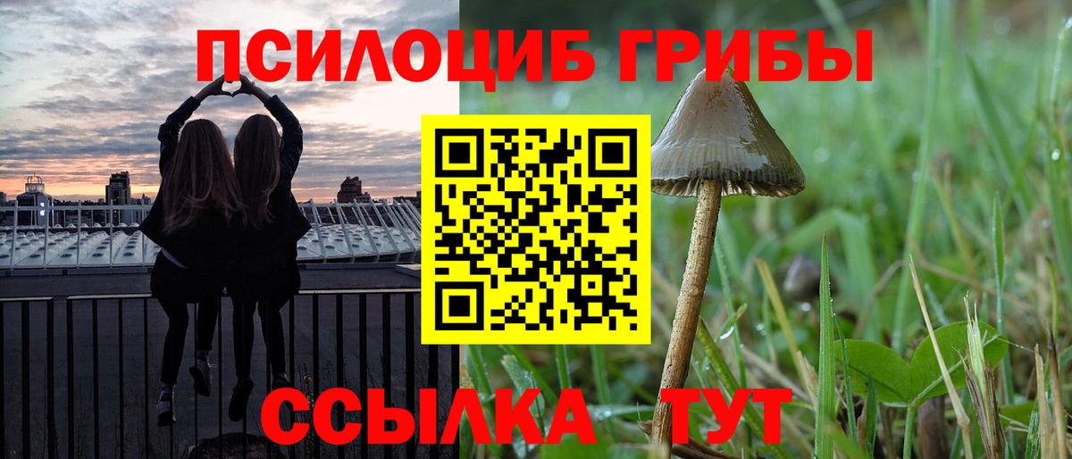 Галлюциногенные грибы Psilocybe  Вход с VPN  Мирный  Псилоцибиновые грибы мухоморы 